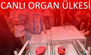 ÇİN, ADETA BİR CANLI ORGAN ÜLKESİ