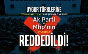 ÇİN ZULMÜNÜ ARAŞTIRMA ÖNERGESİNİ, İKTİDAR PARTİ RED ETTİ