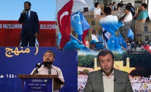 DİASPORADAKİ DOĞU TÜRKİSTAN DAVASI (Özet)