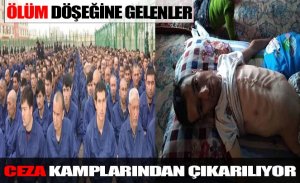 ÖLMEK ÜZERE OLANLARI CEZA KAMPLARINDAN ÇIKARIYORLAR