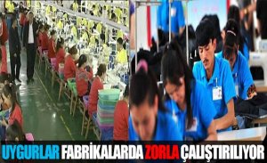 21. YÜZYILIN MODERN KÖLELERİ, FABRİKALARDA ZORLA ÇALIŞTIRILIYOR