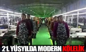 ÇİN, UYGURLARI 21. ASRIN MODERN KÖLELERİ YAPTI