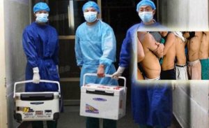 ÇİNLİLER UYGURLARIN <<DNA>> BİLGİLERİNİ GÜNCELLEDİ